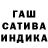 COCAIN Fish Scale Liubov Mikhailovskaya