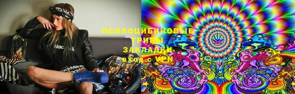 твердый Алексин