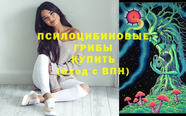 спиды Алзамай