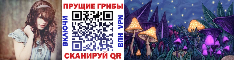 купить наркотики сайты  Ермолино  Галлюциногенные грибы GOLDEN TEACHER 